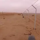 مقاول شبوك ونخيل
