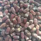 تمر صقعي مبروم طيب