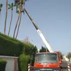 ونش كرين للايجار جده