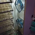 فقاستين اوتوماتيك