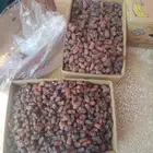 الرياض.الخرح
