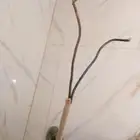 البيع اسلك كهرباء 300متر طوله