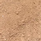 توريد دفان صبيص بسكورس دفنيات