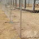 عماله في مجال الشبوك