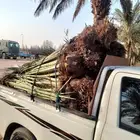 فسائل احجام كبيره وبأسعار لاتقبل المنافسه