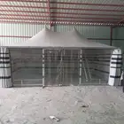 خيم صقور ومضلات بل وغنام