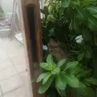 باب خشب نظيف