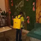 شركة مكافحة حشرات ورش مبيد