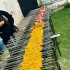معلم مشويات شوي