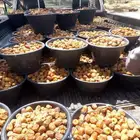 السلام عليكم ورحمة الله
