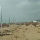 مقاول شبوك ونخيل في جميع مناطق المملكة العربية السعودية