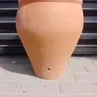 زيار مويه