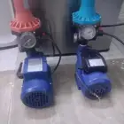 دينمو ايطالي