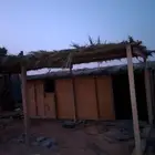 استضافة كلاب فترة السفر.