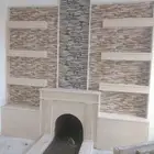 مشبات