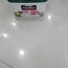 قطه وطير