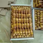 نخل وجثايث القصيم اسعار معقوله رقم الجوال