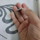 خاتم