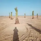 0502427963