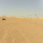 مقاول شبوك