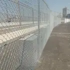 مقاول شبوك ونخل