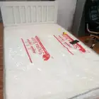 new brand