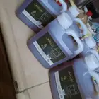 للبيع عسل