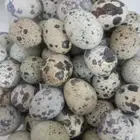 بيض سمان