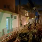 توريد وغرس انخيل بجميع انواعها. واشنطني عربي جميانواع انخيل