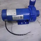 دينمو