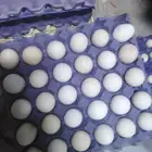 بيض بلدي مخصب 95 في الميه سعر الطبق 25ريال