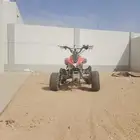 دباب