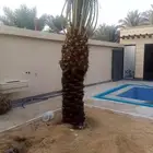زراعه نخيل
