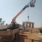 متواجدين العارض الياسمين انرجس