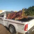 يوجد لدينا اليوم في عفيف 15 خبه نخل واشنطن زينه
