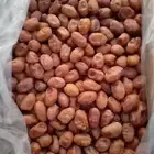 تمر خلاص فاخر