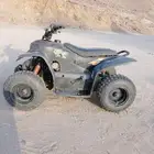 دباب