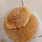 عسل سدره وسمره وطلحه وضهيانه وغذاء المكات اصلي ومضمون