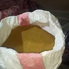 بذر برسيم كاف 101