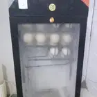 بيض مخصب ن ع ا م