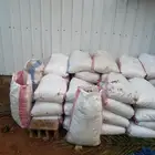 تمر علف للمواشي 45 كيس يابس