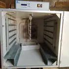 فقاسه فيم الايطاليه