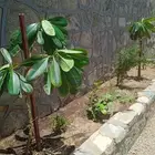 استراحة ضيافتي بالفقرة للايجار اليومي