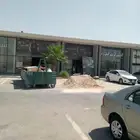نخلة واشنطونيا لوجه الله