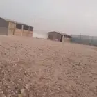 غرف خشبيه للحلال وكشافات بالطاقه الشمسية