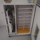 فقاصه