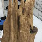 تحفه شجرة بخور حجم كبير