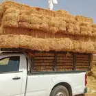تيبن بور