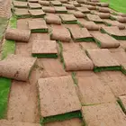 ثيل طبيعي نجيله