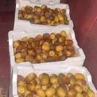 روثانه حصاد اليوم